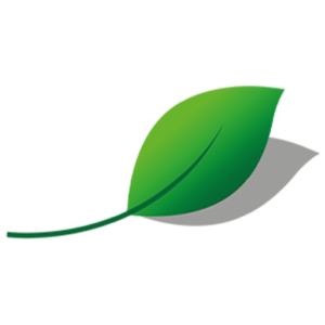 תמונה של צוות מגזין איי פרש